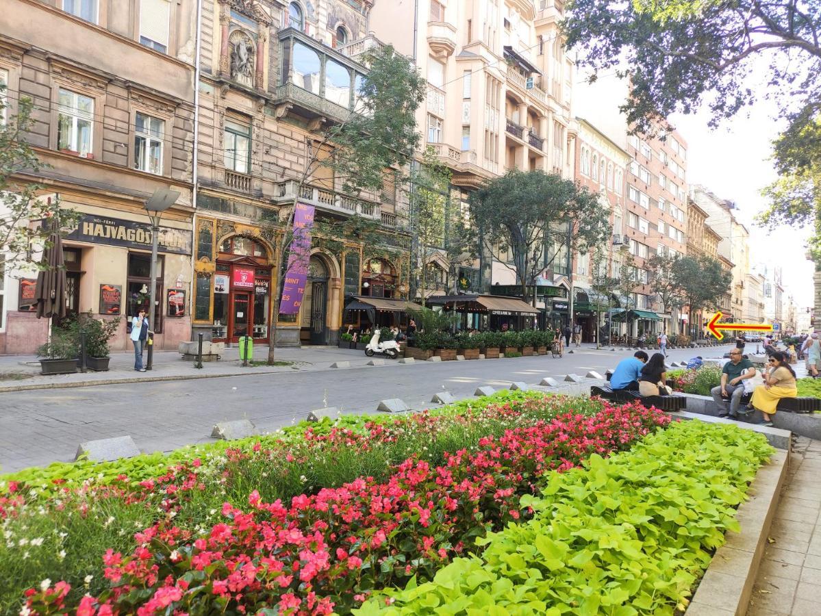 Apartment Broadway Center, Fully Equipped, 4 Person *